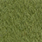 Cashmere.com - Spruce