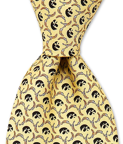 Iowa Hawk & Feathers Tie