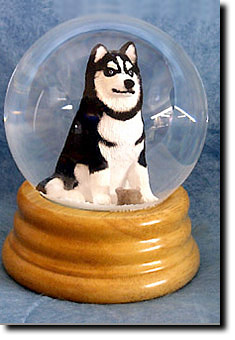 Adult Alaskan Malamute PRODUCT