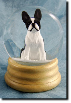 Adult Boston Terrier PRODUCT