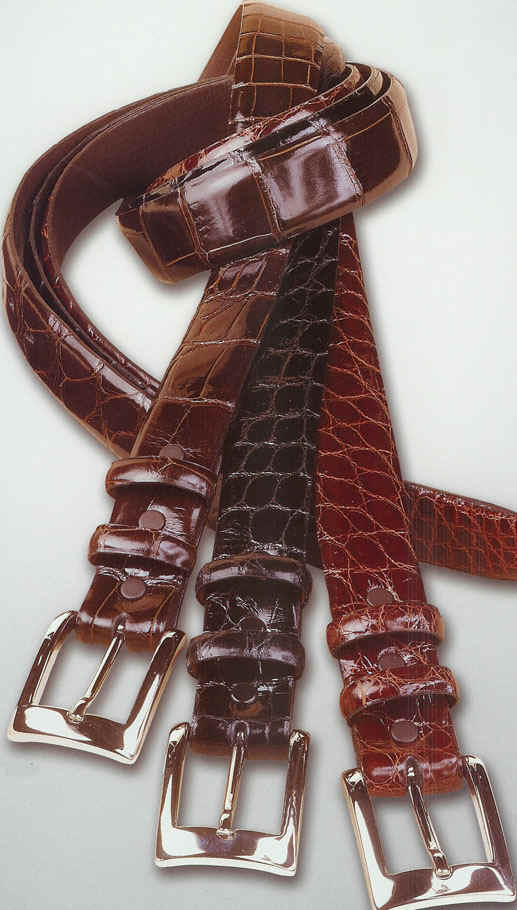 torino new alligator.jpg (128899 bytes)