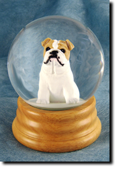 Adult English Bulldog PRODUCT
