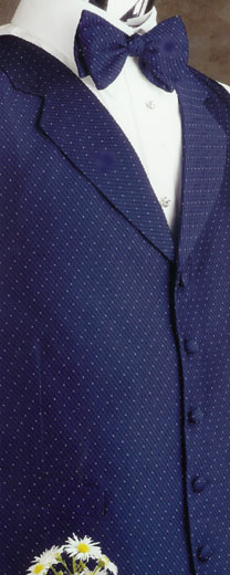 sapphire vest.jpg (37624 bytes)