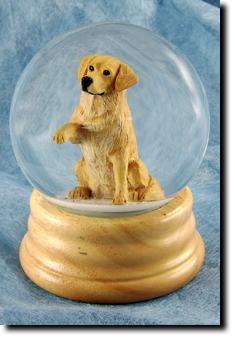Adult Golden Retriever Show PRODUCT