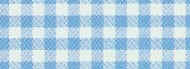 Aqua Gingham.jpg (12052 bytes)