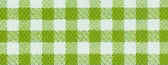 lime gingham.jpg (11811 bytes)