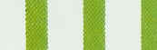 lime stripe.jpg (7866 bytes)