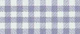 lt blue gingham.jpg (11062 bytes)