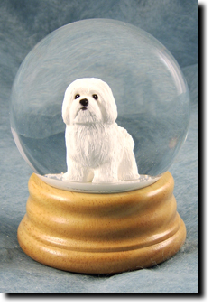 Adult Havanese PRODUCT