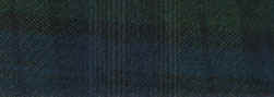 green tartan.jpg (10327 bytes)
