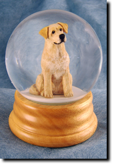 Adult Labrador Retriever PRODUCT