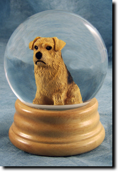 Adult Norfolk Terrier PRODUCT