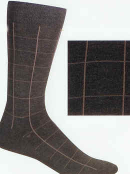 windowpane.jpg (25549 bytes)