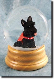 Adult Scottish Terrier PRODUCT