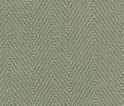 CG Olive.jpg (30755 bytes)