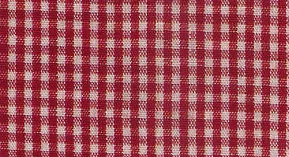 Red Gingham.jpg (64110 bytes)