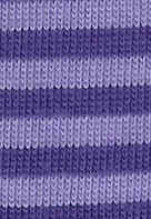 purple violet.jpg (20165 bytes)