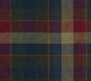 2451D.jpg (26041 bytes)