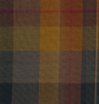 2587D.jpg (34243 bytes)