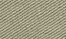 Pale Tan.jpg (19498 bytes)