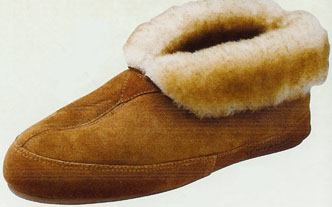 alpine boot.jpg (22240 bytes)