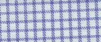 blue tattersall.jpg (17409 bytes)