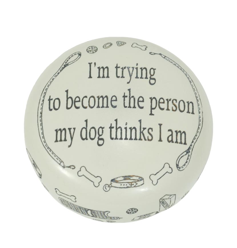 661070 pw i'm trying dog.jpg (45311 bytes)