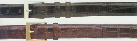 Alligator belt z.jpg (22403 bytes)