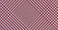 Red plaid.jpg (25326 bytes)