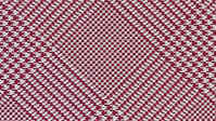 burgundy plaid gitman.jpg (26769 bytes)