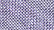 lavender.jpg (21852 bytes)