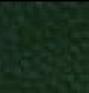 Description: Bonanno Tanager