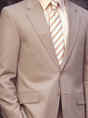 1000825thumbhaspelsuitgrey.jpg (10097 bytes)