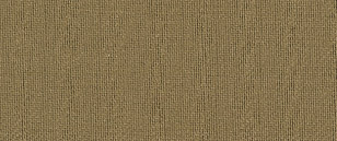 700005tan.jpg (21578 bytes)