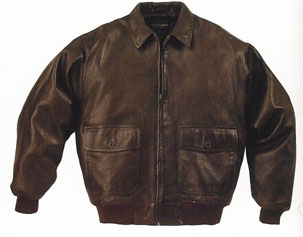 bomber.jpg (22042 bytes)