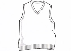 jerseysleeveless.jpg (11796 bytes)