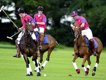 polo.jpg (9112 bytes)