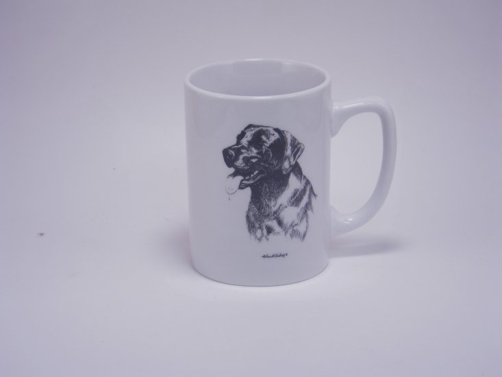 Lab Porcelain Mugs, 10oz, gift boxed - Click Image to Close