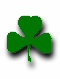 clover_clover.gif (2427 bytes)