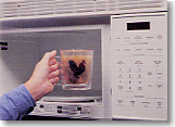 t-microwave-ipi.jpg (21556 bytes)