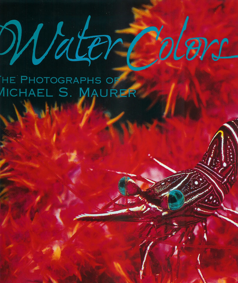 Water Colors by Michael S Maurer.jpg (209080 bytes)