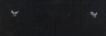 Black.jpg (6970 bytes)