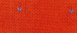 pumpkin puntitios.jpg (13757 bytes)