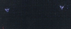 slate.jpg (8025 bytes)