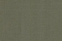 Olive Burberry.jpg (16688 bytes)