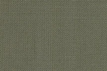 Olive Burberry.jpg (16688 bytes)