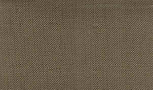 Toffee NH.jpg (26771 bytes)