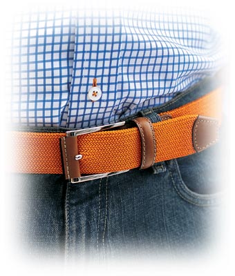 Robert Talbott Belts