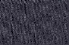 navy22enzyme