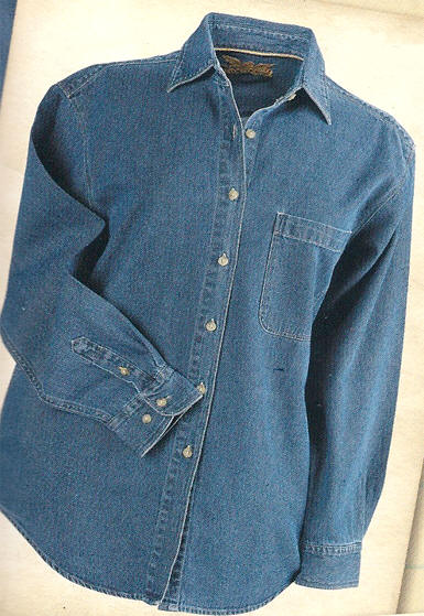 Denim Shirts for Women from Dann, 100% Cotton and new Tencel